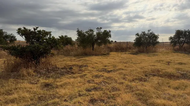 ¡Ocasión en Trigueros! Finca rústica totalmente legalizada con excelente acceso y gran tranquilidad — 43