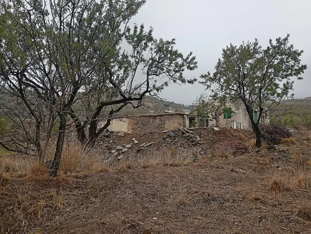 VENTA EN SIERRO ( ALMERÍA ) DE TERRENO PARA CAZA. - foto 2