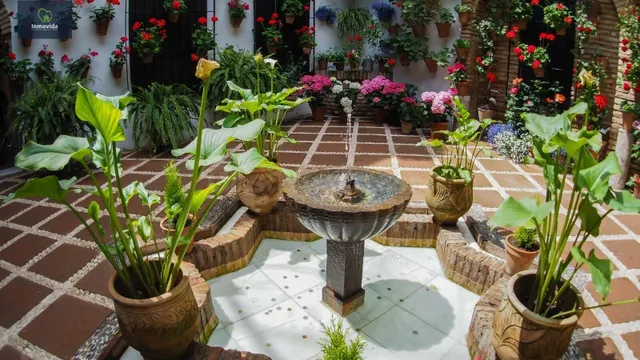 CASA HISTORICA CERCA DE LA CORREDERA - foto 3