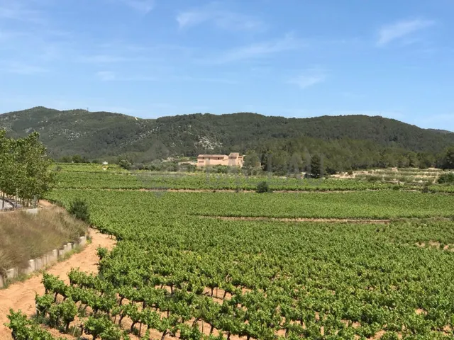 Finca rústica con dos casas a cinco minutos de Sitges. - foto 2