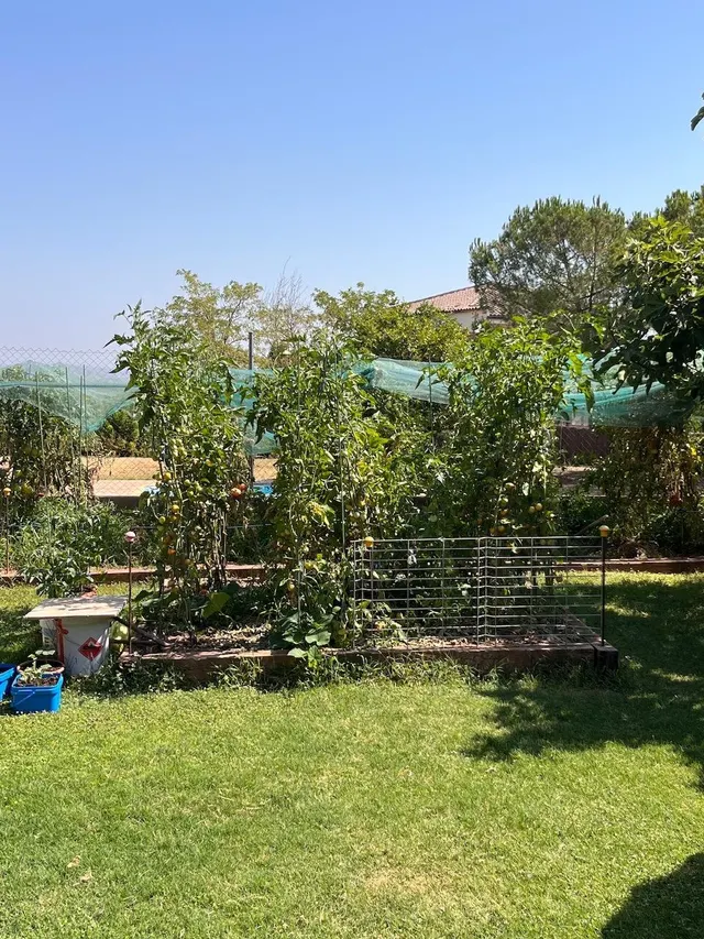 Casa Independiente de Ensueño en Sant Salvador de Guardiola — 12
