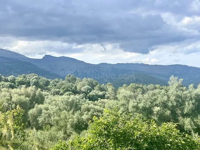 Solar en Campanet