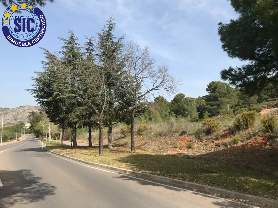 Deseas para tu familia un hogar con un buen jardin en zona tanquila y cerca de la Ciudad?