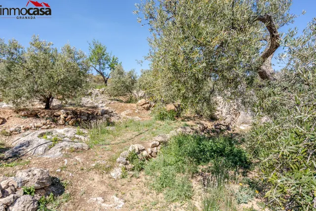 TERRENO EN PINOS DEL VALLE — 20