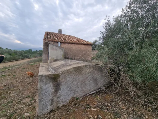 Económica Finca, con antigua caseta de campo de 25 M2 en El  - foto 3