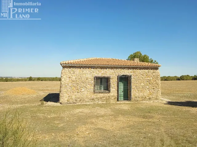 Se venden 11 hectareas de tierra de secano en el paraje La C - foto 5