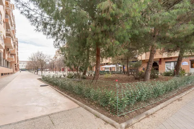 Local Comercial en Venta en Granada - Palacio de Deportes — 34