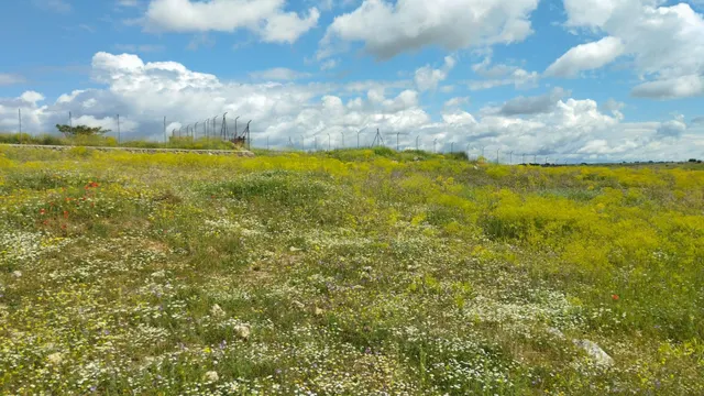 Terreno urbano en venta - Fuentelencina — 27