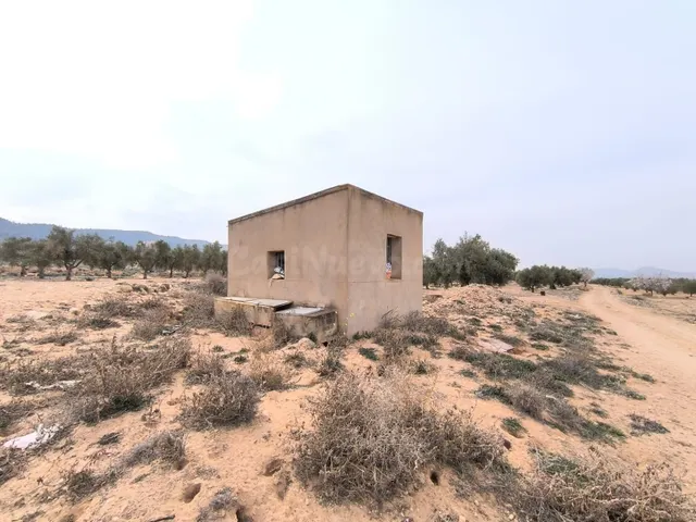 Parcela de inversión en tierra fértil, olivar y agua cerca d - foto 5
