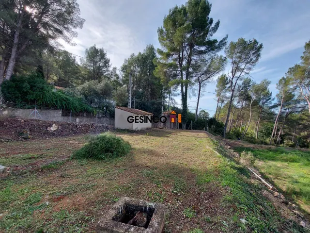 PARCELA MUY BIEN SITUADA EN PLENA NATURALEZA — 3