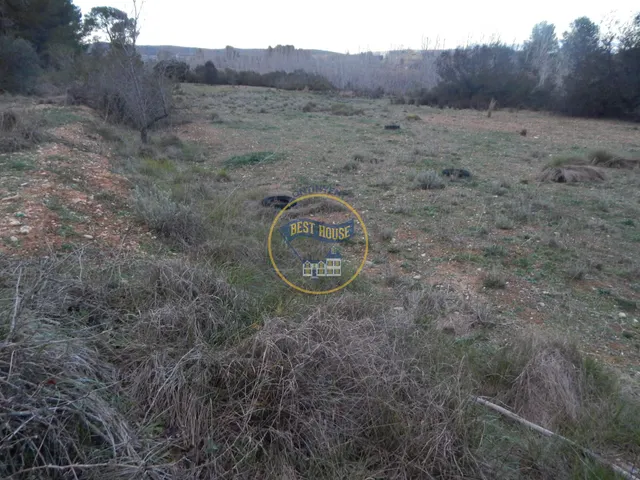 OPORTUNIDAD DOS PARCELAS A LA VENTA EN OLLERIA — 3
