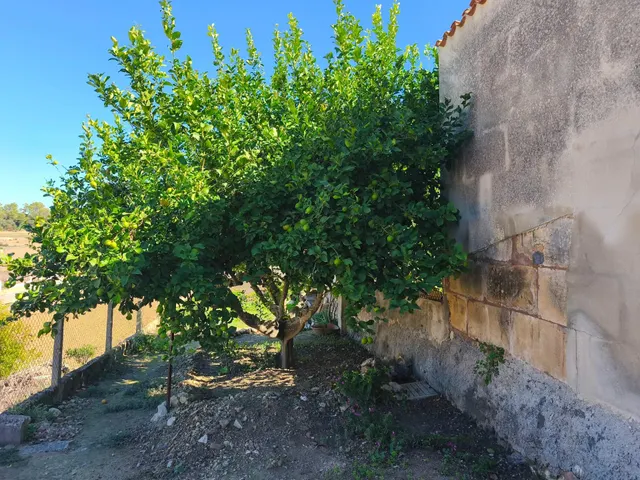 Preciosa casa de pueblo rehabilitada a estrenar en lloret de vistalegre — 30