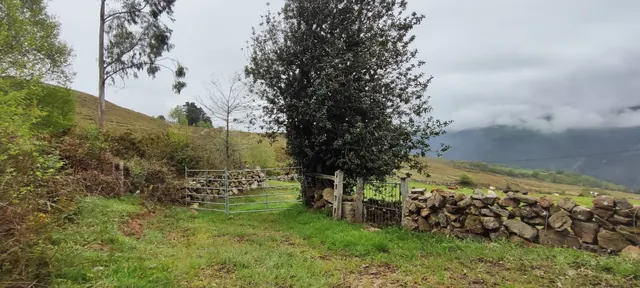FINCA RÚSTICA CON CABAÑA Y VISTAS PANORÁMICAS EN LUENA.- — 16