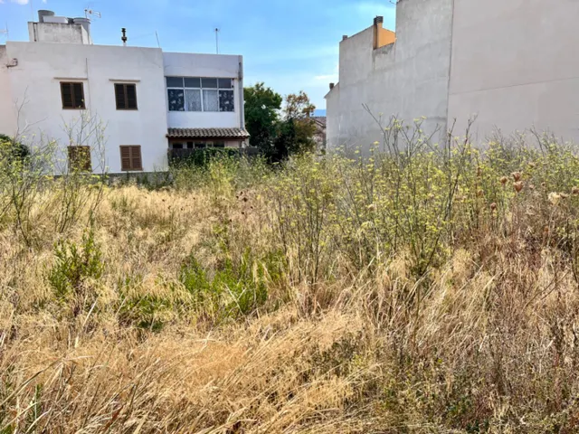 Solar en Campanet — 5