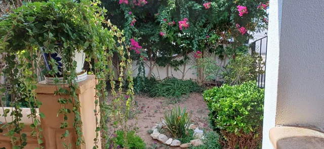ADOSADO DE 3 habitaciones CON PARKING Y GRAN PISCINA COMUNITARIA CON JARDINES. — 6
