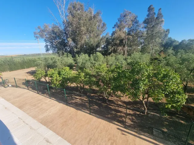 Finca rustica el pintado, Gibraleón — 34