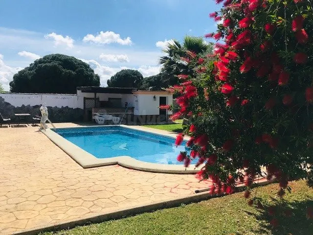 Villa Lotus - foto 2
