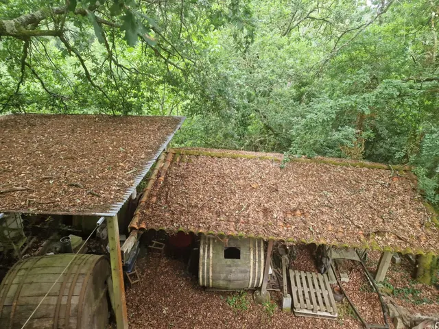 PROYECTO ENOTURÍSTICO EN EL RIBEIRO Una bodega histórica, vi - foto 3