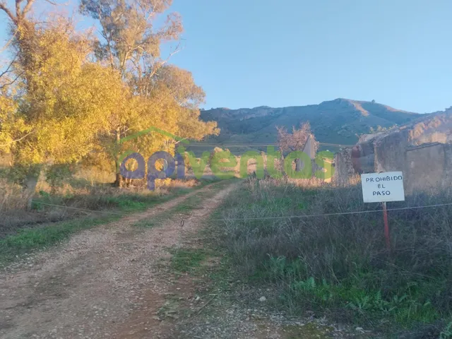 Casa de piedra con 61 hectáreas de terreno — 9