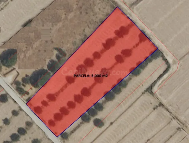 PARCELA 5.000 m2 EN AGUADERAS PARA EDIFICAR O CULTIVAR
