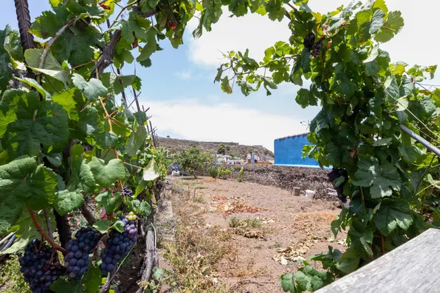 SOLAR EN EL EMPALME DE ICOD DE LOS VINOS - foto 2