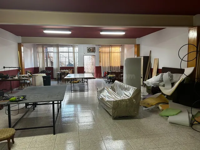 Local comercial 270m² en venta - La Arboleja — 4