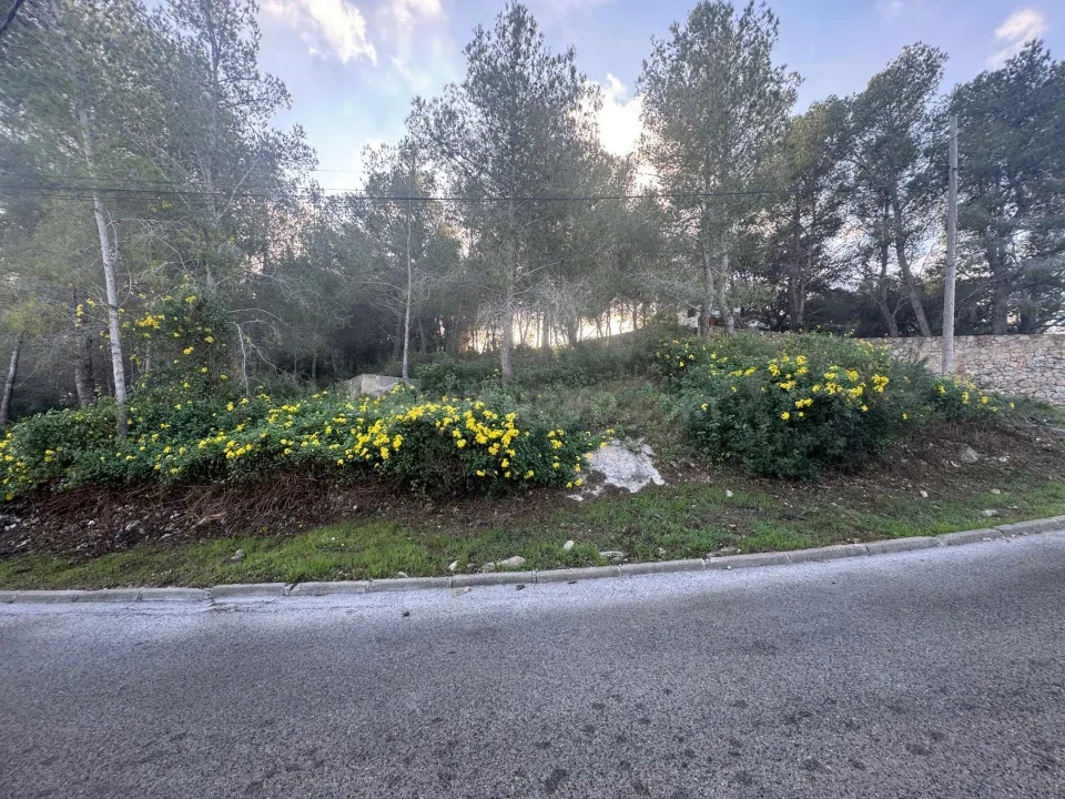 TERRENO ESQUINERO ZONA MONTAÑA