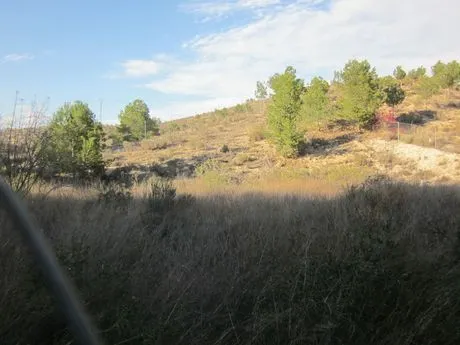 ++GRAN PARCELA DE 1700M2 — 4