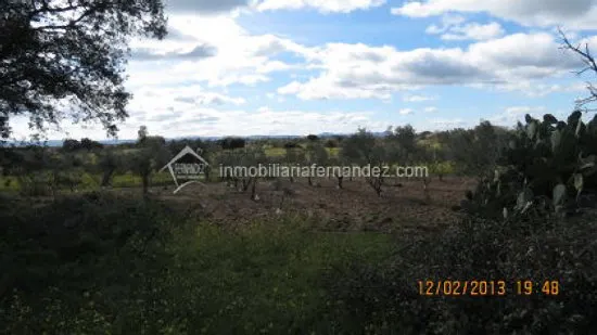 Se vende Parcela de 8.200 m2 vallado, en Arroyo de la Luz — 6