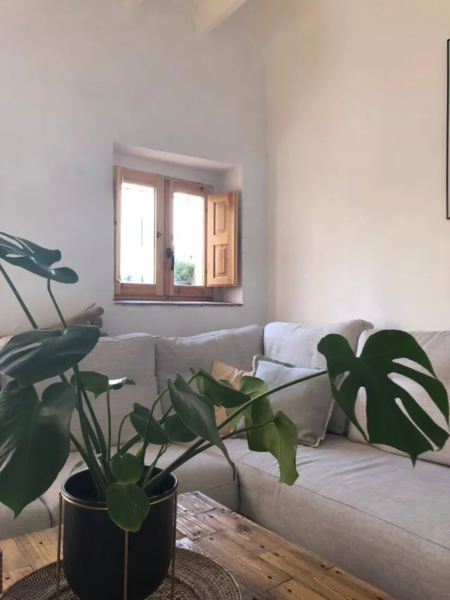 Casa 4 habitaciones 220m² en venta - Comunidad valenciana — 11