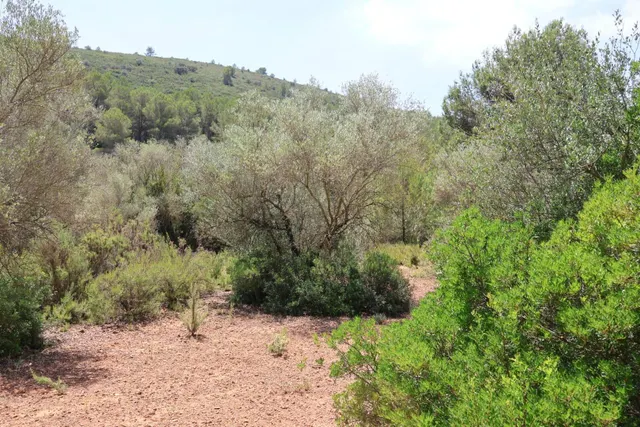 MASIA RUSTICA EN DOS HECTAREAS DE TERRENO ZONA POU DE BECA — 26