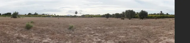 AMPLIA PARCELA DE 13000 M2 ZONA DE LA HOYA — 5