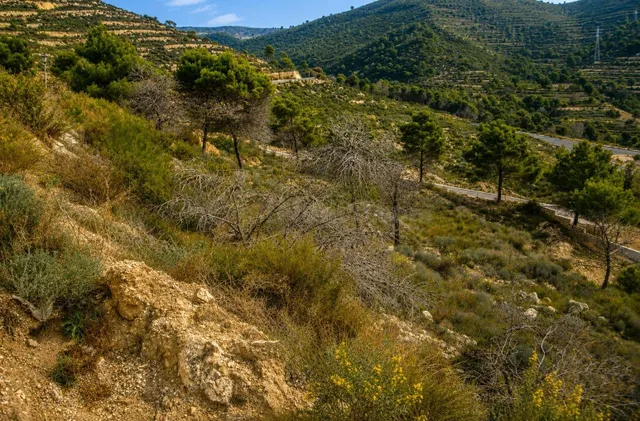 ¡PARCELA URBANA EN LA EMPEDROLA (ALICANTE)! - foto 5