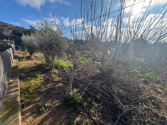 TERRENO EN MANRESA - foto 4