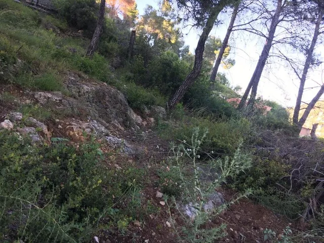PARCELA URBANA DE 800 M2 EN VENTA EN VALLIRANA — 6