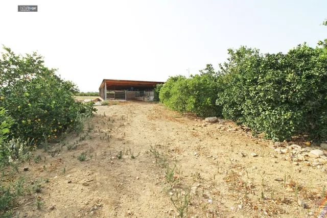 FINCA RÚSTICA EN CAMPANILLAS — 14