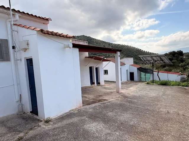 Finca rústica de 26 ha con 3.000 olivos ecológicos, cortijos y alta producción. — 47