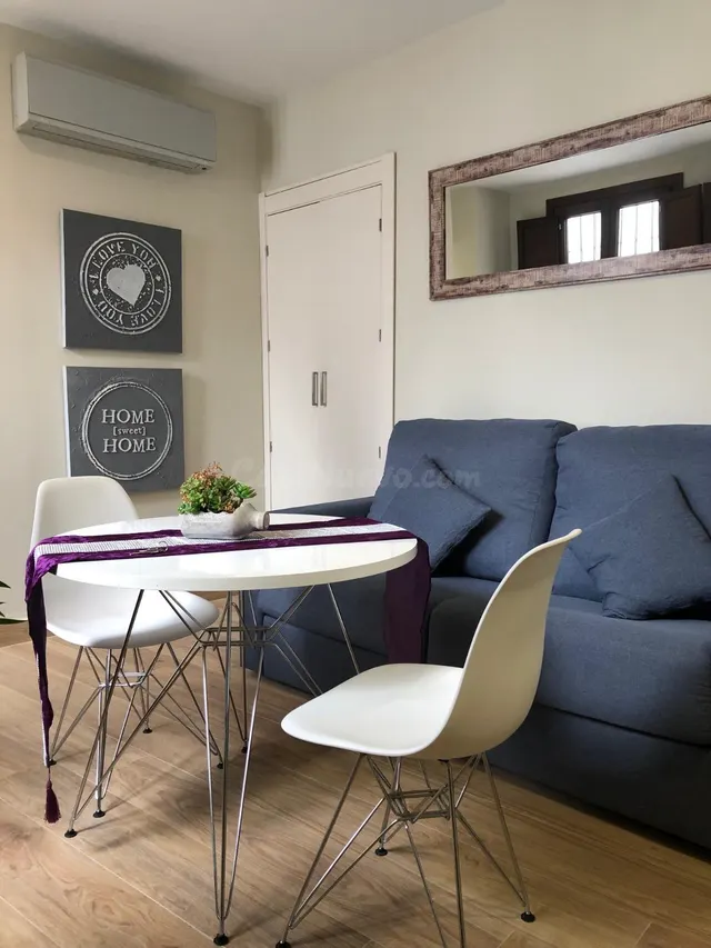 Apartamento turístico con licencia VFT activa en pleno centr - foto 4