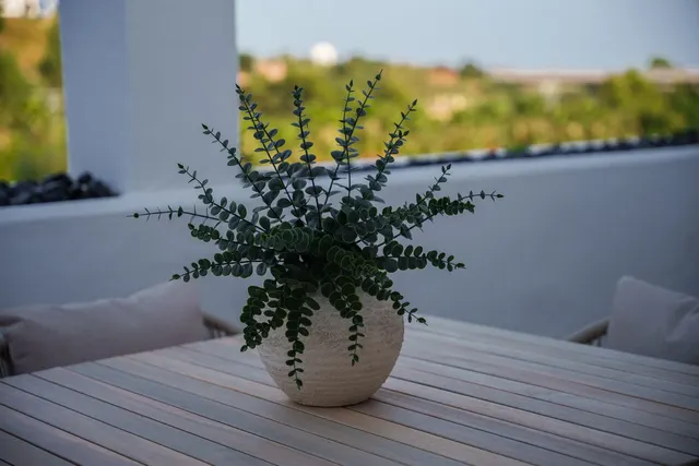 Apartamento 3 habitaciones 110m² en venta - El Madroñal — 25