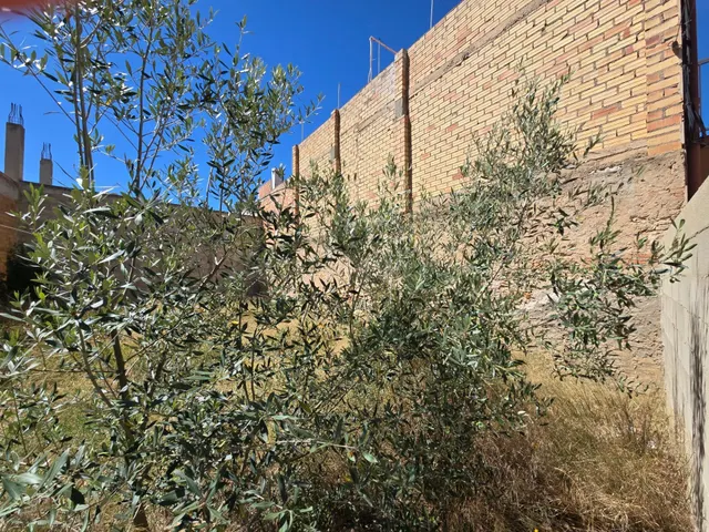 PARCELA URBANA EN LA RÀPITA - foto 2