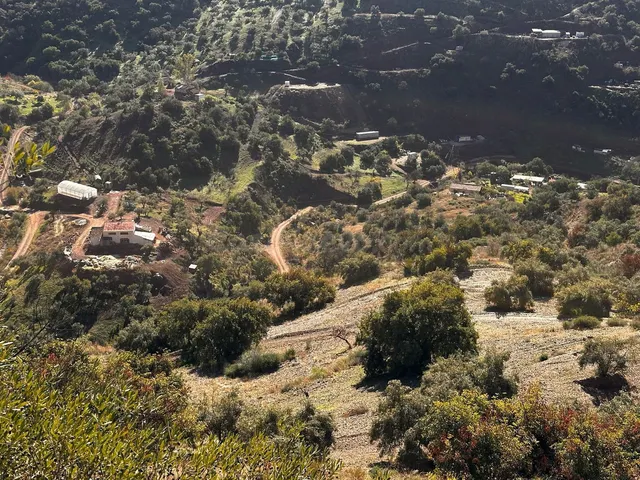 Parcela en venta - Puerto Sol-Los Almendros-El Tomillar — 4