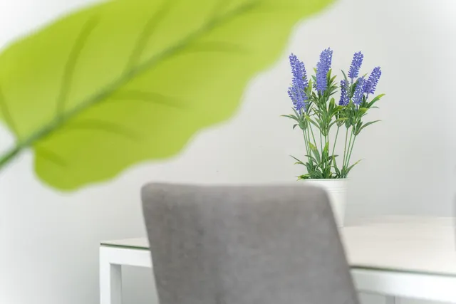 Apartamento con Solarium en Villamartin — 22