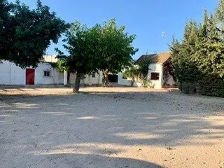 MARAVILLOSA ANTIGUA FINCA DE CACERIA EN LA JARA EN SANLUCAR  - foto 5