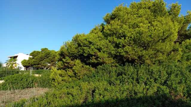 Solar en primera línea de mar con vistas espectaculares — 14