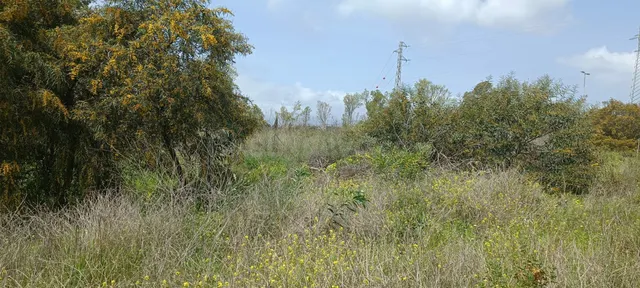 Parcela de 1426 m² para inversión en Nagüeles, Marbella — 4
