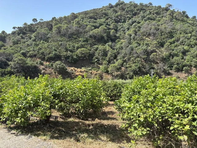 Parcela en venta - Costa Del Sol — 19
