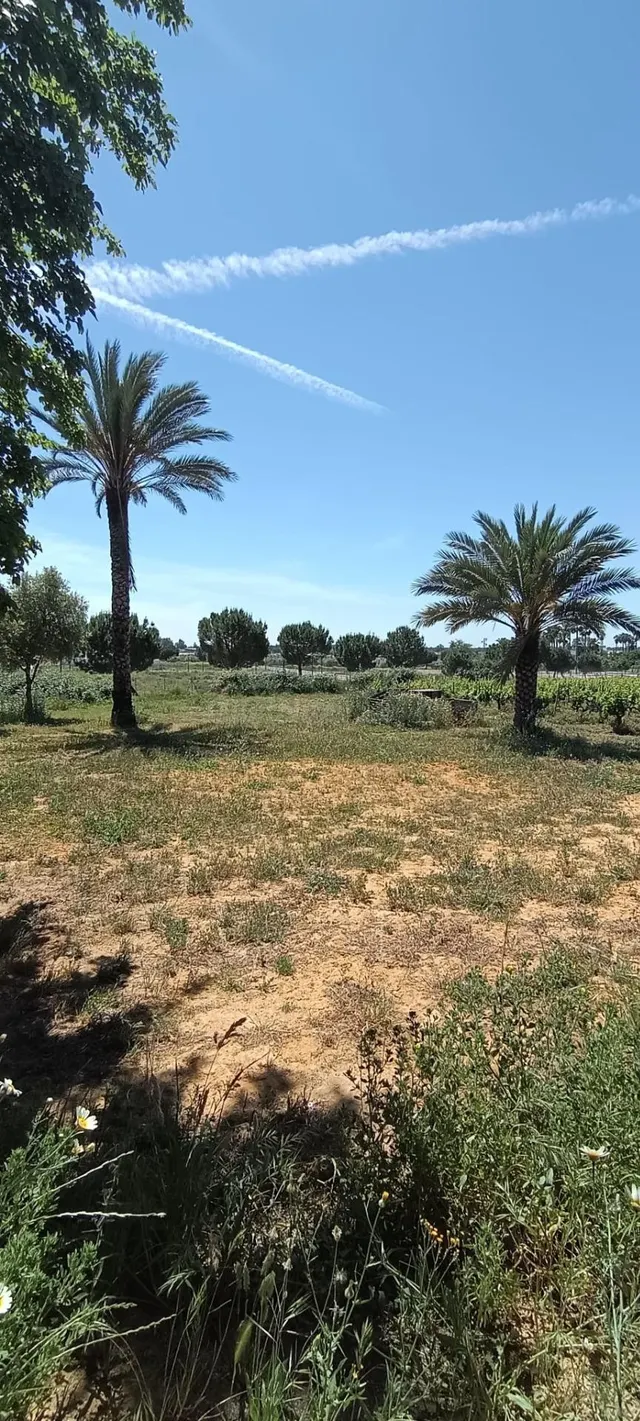 Terreno urbano de 3 hectáreas en Villamanrique de la Condesa