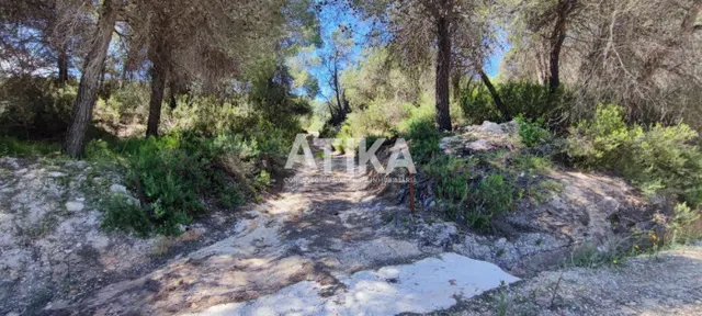 FINCA RUSTICA PARA REHABILITAR
