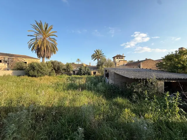 Solar urbanizable en Campos (Mallorca) — 5