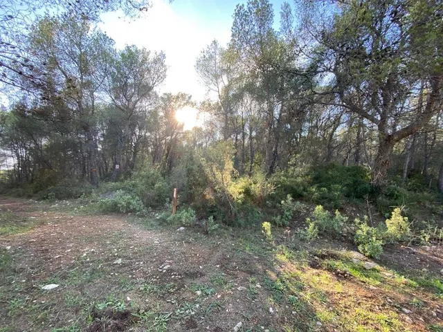 OPORTUNIDAD ENORME TERRENO EN VENTA POR 150.000€ — 8